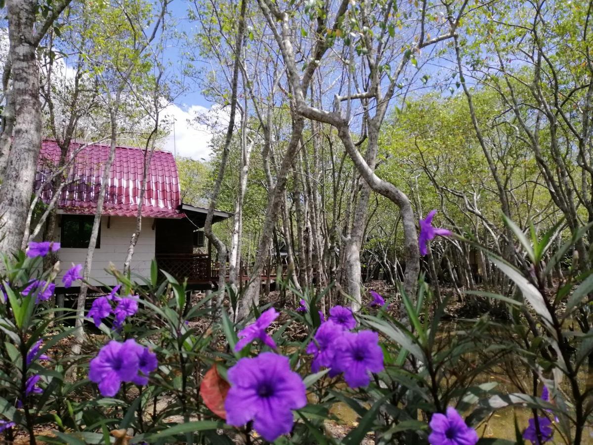 Api-api Eco Resort Pantai Kok Exterior foto